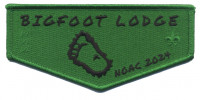 Bigfoot Lodge NOAC 2024 green flap Glacier's Edge Council #620