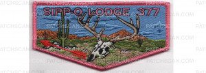 Patch Scan of Fall Flap (PO 88887)