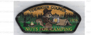 Patch Scan of Nuts For Camping CSP