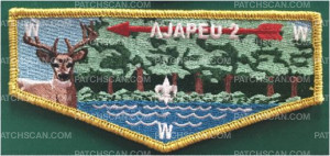 Patch Scan of ajapeu 2