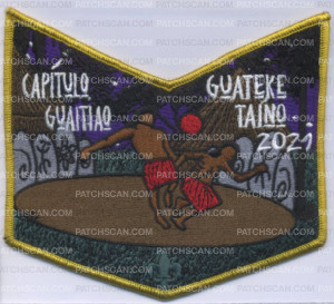 Patch Scan of Puerto Rico Council -424370