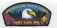 Westmoreland-Fayetter Council Eagle Class of 2019 CSP Westmoreland-Fayette Council #512