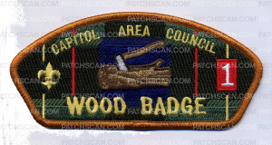 Patch Scan of Wood Badge CAC 2014