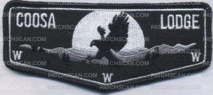 Patch Scan of 390492 COOSA