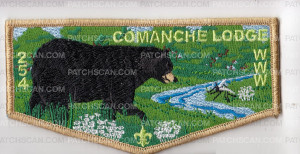 Patch Scan of Camanche Lodge #254 OA Flaps 2020 Spring