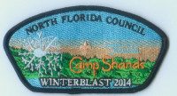 CAMP SHANDS WINTERBLAST 2014 North Florida Council #87