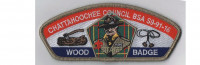 Wood Badge S9-91-16 STAFF Chattahoochee Council #91