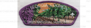 Patch Scan of 2023 National Jamboree CSP #1(PO 101130)