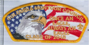 Patch Scan of Eagle Class 2018 Gold