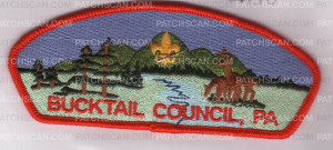 Patch Scan of Bucktail Council CSP