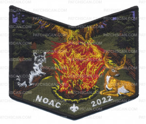 Patch Scan of NOAC-2022 Tantamous 223 Bottom Piece (Night)