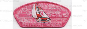 Patch Scan of Breast Cancer Support CSP (PO 86306)
