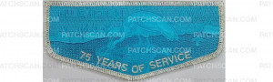 Patch Scan of 75 Years of Service Flap (PO 89662r1)
