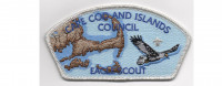 Eagle Scout CSP (PO 88568) Cape Cod and the Islands Council #224
