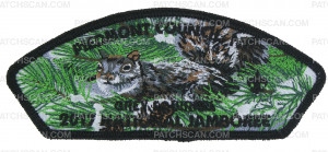 Patch Scan of Piedmont Council, NC - 2017 National Jamboree Grey Squirrel