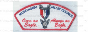 Patch Scan of Eagle Scout CSP (85201)
