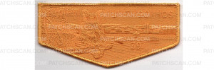 Patch Scan of Lodge Flap (PO 88443)
