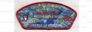 Patch Scan of Friends of Scouting CSP (PO 100900)