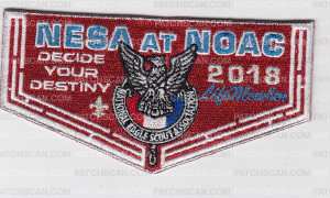 Patch Scan of NESA AT NOAC LIFE MEMBER FLAP