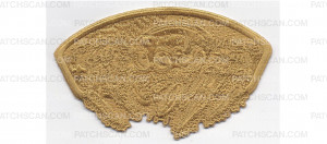 Patch Scan of Popcorn Sales CSP Gold Ghost (PO 88066)