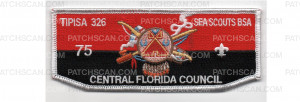 Patch Scan of Sea Scouts Flap (PO 100088)