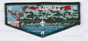 Patch Scan of Ajapeu 2