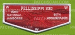 Patch Scan of Pellissippi 230 2023 NJ flap white border