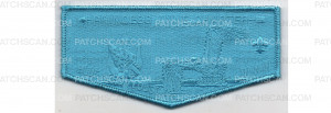 Patch Scan of Princess Anne Flap (PO 101015)