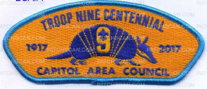 Patch Scan of 338782 A CAPITOL AREA COUNCIL