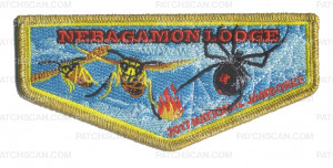 Patch Scan of 2017 National Jamboree - Nebagamon Lodge - OA Flap -Gold Metallic 