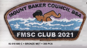 Patch Scan of Mount Baker Council CSP