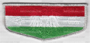 Patch Scan of Hungary OA Flap