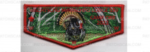 Patch Scan of Camp Orr Flap (PO 100201)