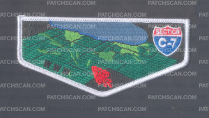 Patch Scan of Section C7 Flap