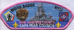 Patch Scan of 406828- New Hanover 