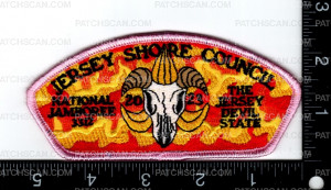 Patch Scan of 162222-Pink 