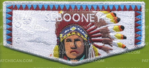 Patch Scan of 382293 A SEBOONEY