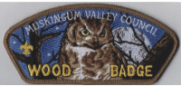 Owl Wood Badge CSP Muskingum Valley Council #467