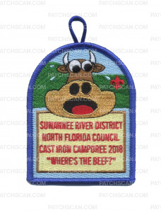 Patch Scan of Suwannee River District - NFC