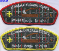 346489 A Alabama Florida Council  Alabama-Florida Council #3