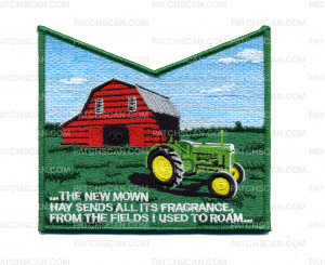 Patch Scan of New Mown Hay Pocket Piece
