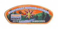 NEIC - 2013 JSP (ORANGE) Northeast Illinois Council #129