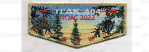 Patch Scan of NOAC Flap 2022 (PO 100254)