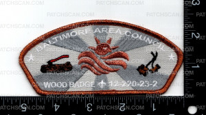 Patch Scan of 163297-3 Bead 