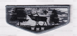 Patch Scan of Wyona Participation Flaps