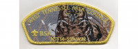 Wood Badge CSP Owl (PO 100210) West Tennessee Area Council #559