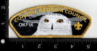 161552 Coastal Georgia Council