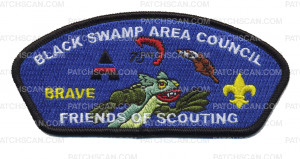 Patch Scan of 75th Anniversary BSA FOS