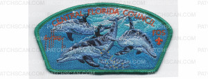 Patch Scan of 2018 FOS CSP Teal Border (PO 87416)
