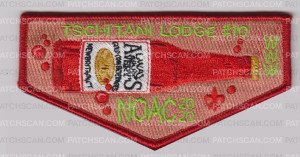 Patch Scan of Tschitani Lodge NOAC 2020 Zombie Brain Juice Flap